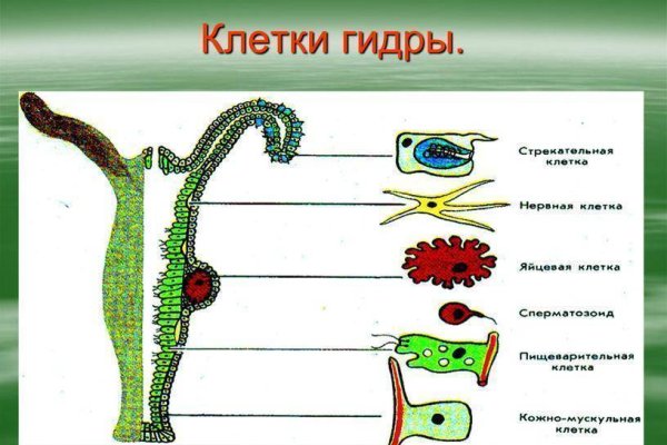 Как зайти на кракен в тор браузере