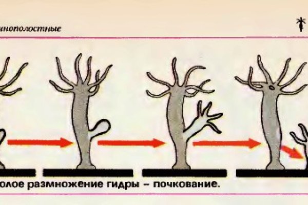 Кракен сайт наркота