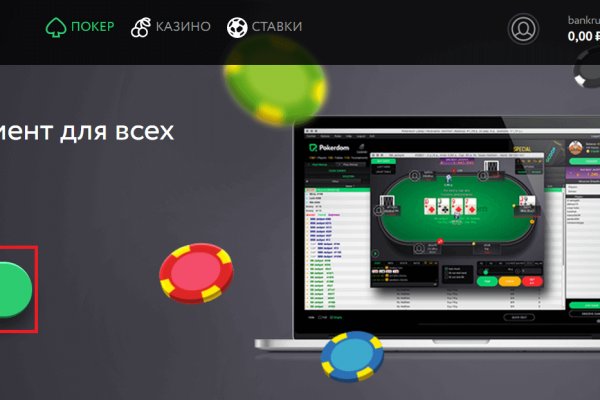 Kraken19at