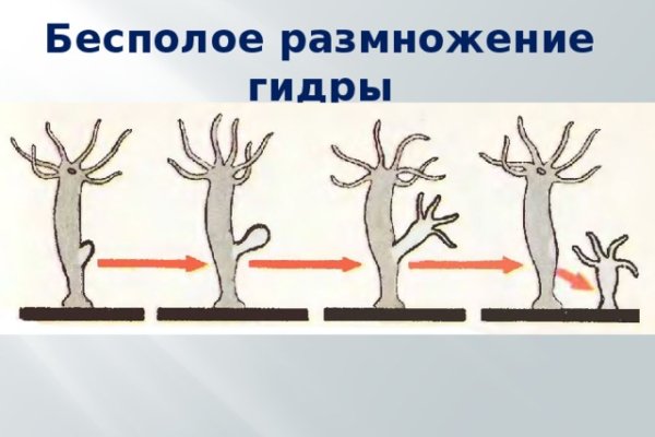 Кракен даркнет актуальная ссылка