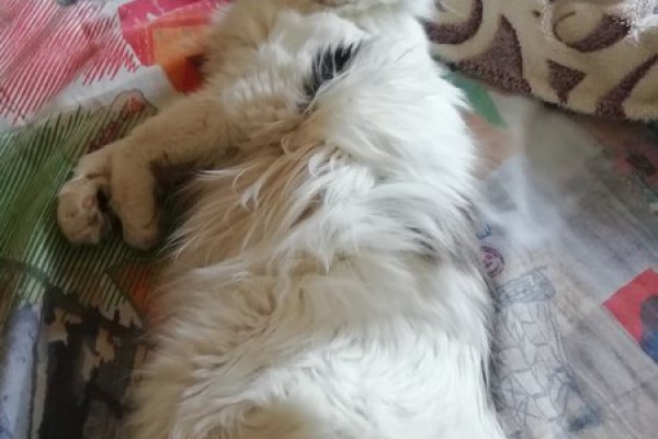 Кракен сайт наркота