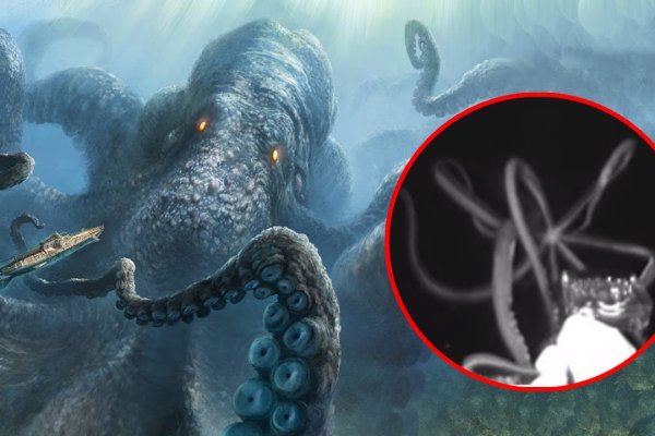 Кракен онион kraken dark link