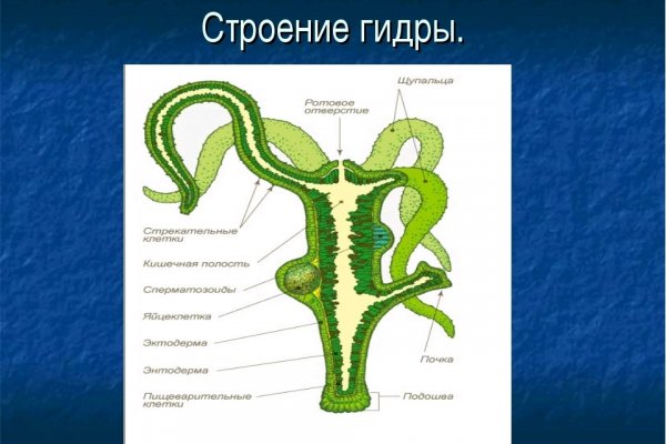 Craken12 at