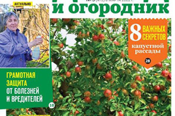 Даркнет зеркало