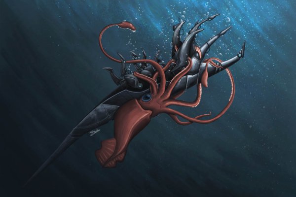 Kraken актуальное