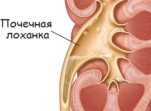 Kraken пользователь не найден при входе