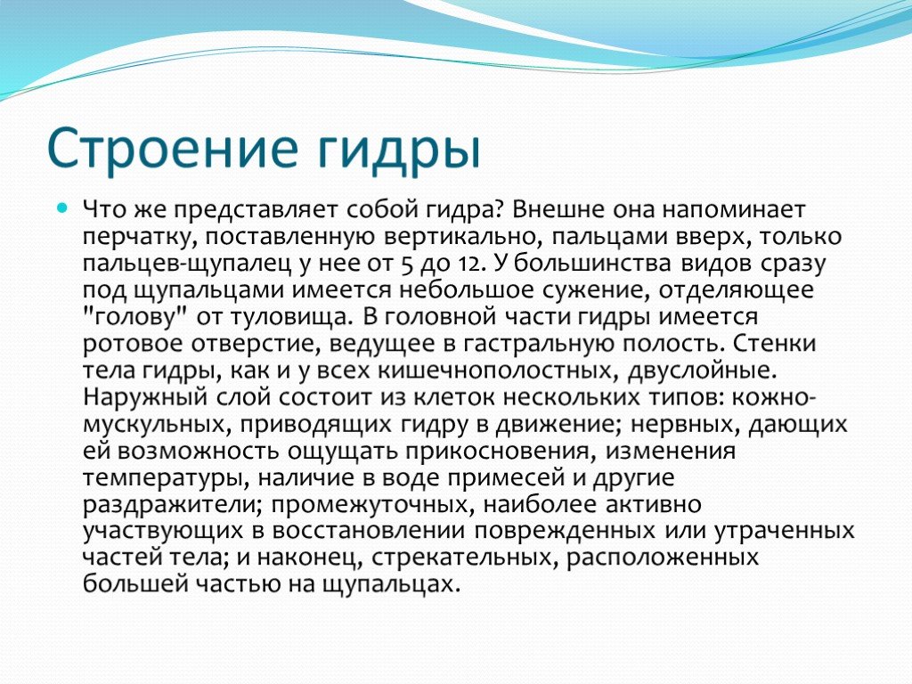 Кракен шоп это